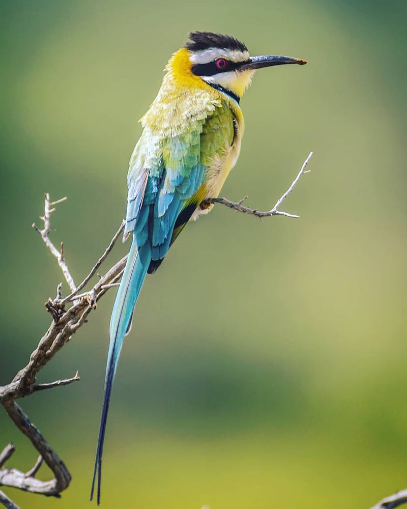 Clean sanitized winemaking equipment - proper sanitation is essential